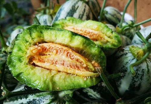 博洋瓜如何吃,解锁美味新体验