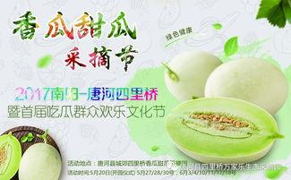 南阳红星吃瓜,揭秘吃瓜群众的狂欢盛宴