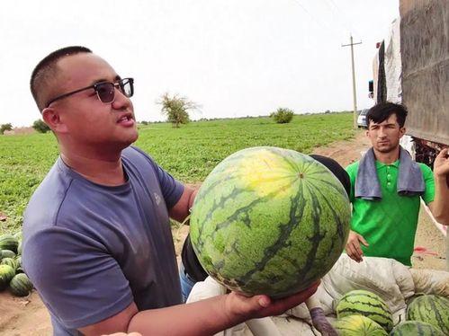 吃瓜炸裂图片高清,视觉盛宴背后的故事