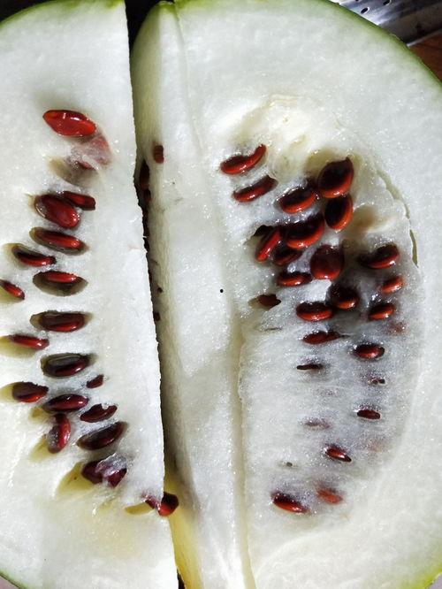 吃瓜只吃皮,揭秘只吃皮的独特风味