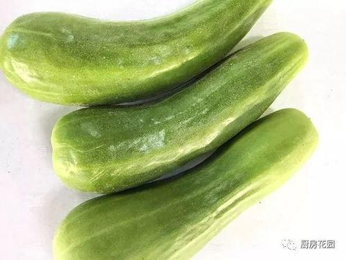 国内吃瓜猛料是什么,吃瓜猛料背后的真相与内幕