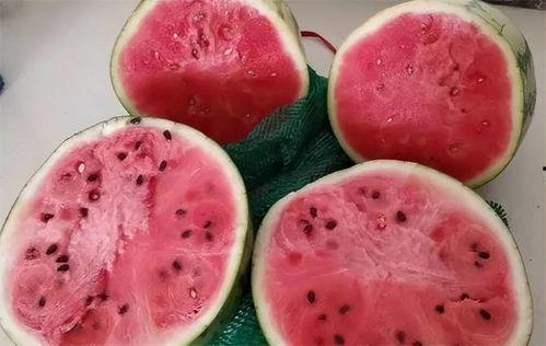 华妃吃麒麟瓜,宫廷佳肴背后的传奇故事