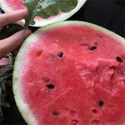 华妃吃麒麟瓜,宫廷佳肴背后的传奇故事