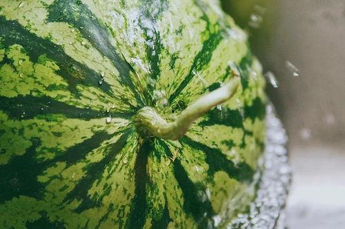 安徽下小雨吃瓜,安徽小雨天的悠闲时光