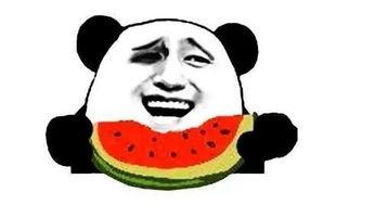 乖乖吃瓜的群众