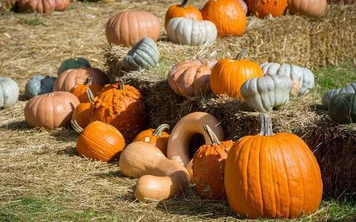 吃瓜群众在长春,揭秘城市生活点滴