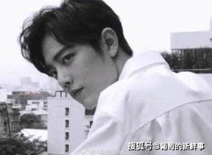 陈情令后续吃瓜