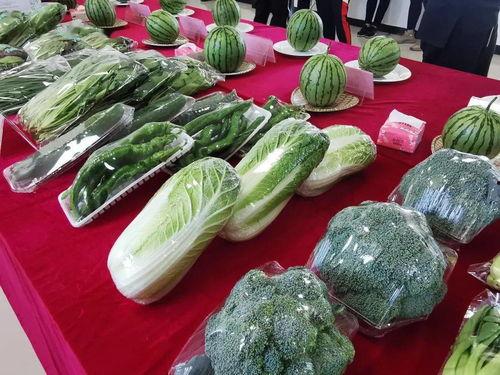 看着屏幕吃瓜,揭秘网络时代的“吃瓜”文化