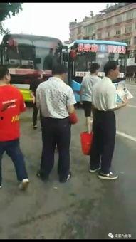 吃瓜亲吻现场视频,吃瓜亲吻瞬间，甜蜜瞬间引爆网络