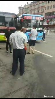 吃瓜亲吻现场视频,吃瓜亲吻瞬间，甜蜜瞬间引爆网络