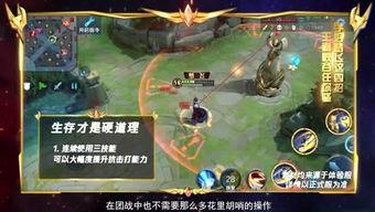 峡谷吃瓜团猴子,猴子的欢乐冒险之旅