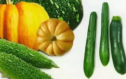 吃瓜儒家,揭秘古代士人的生活趣味与智慧