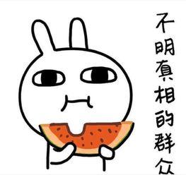 吃瓜正当其时,揭秘娱乐圈幕后风云