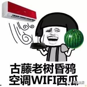 许昌吃瓜情侣