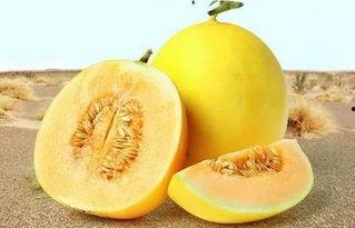 吃瓜网166 su,揭秘吃瓜网热门话题背后的真相