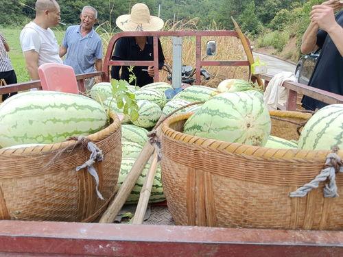 吃瓜衢州,探寻这座城市的美食与故事