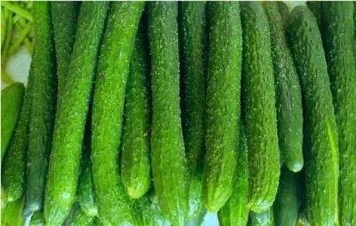 带你吃大瓜公司,美食探索之旅的全新启航