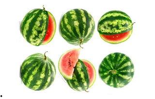 吃谷子吃到瓜,探寻传统农作物的美味之旅