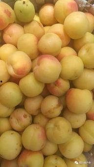 灵超吃瓜,揭秘娱乐圈幕后真相