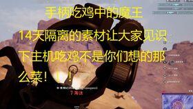 呆瓜玩吃鸡,一场欢乐与智慧的冒险之旅