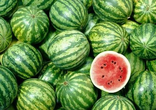 可以吃瓜尖的瓜,探索可食用瓜类的独特风味