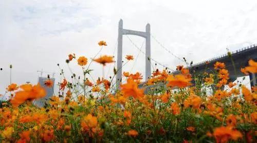 福州花海公园吃瓜,瓜果飘香，共享夏日清凉时光