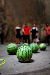 温岭小城吃瓜,一场别开生面的“吃瓜”盛宴