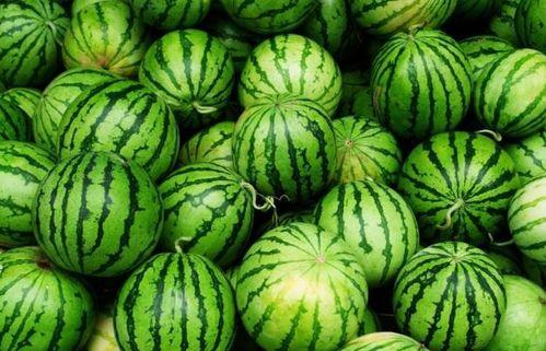 夏天常吃的瓜,清凉解暑的夏日美食之旅