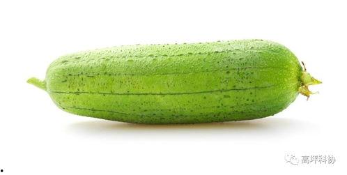 夏天常吃的瓜,清凉解暑的夏日美食之旅